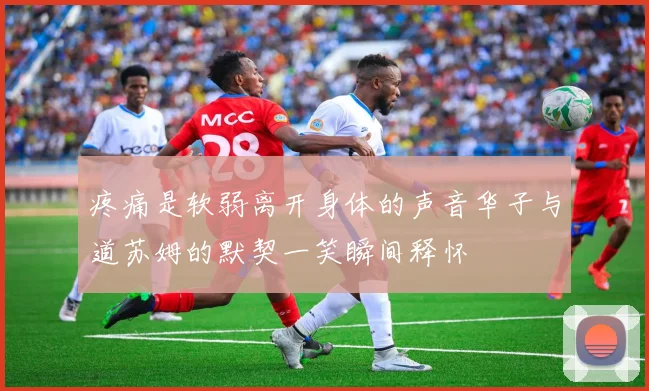 疼痛是软弱离开身体的声音华子与道苏姆的默契一笑瞬间释怀