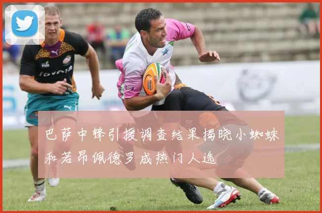 巴萨中锋引援调查结果揭晓小蜘蛛和若昂佩德罗成热门人选